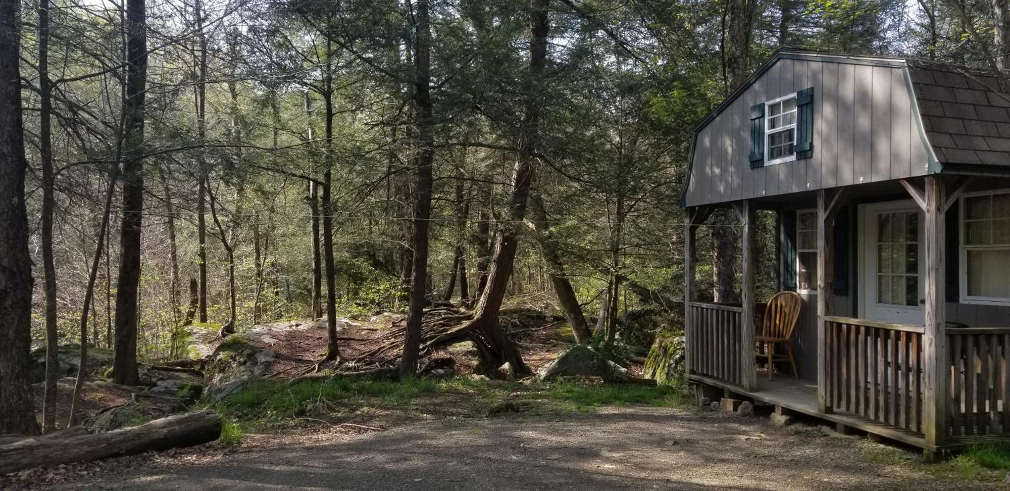 Abrams Creek Campground Mount Storm Esterno foto