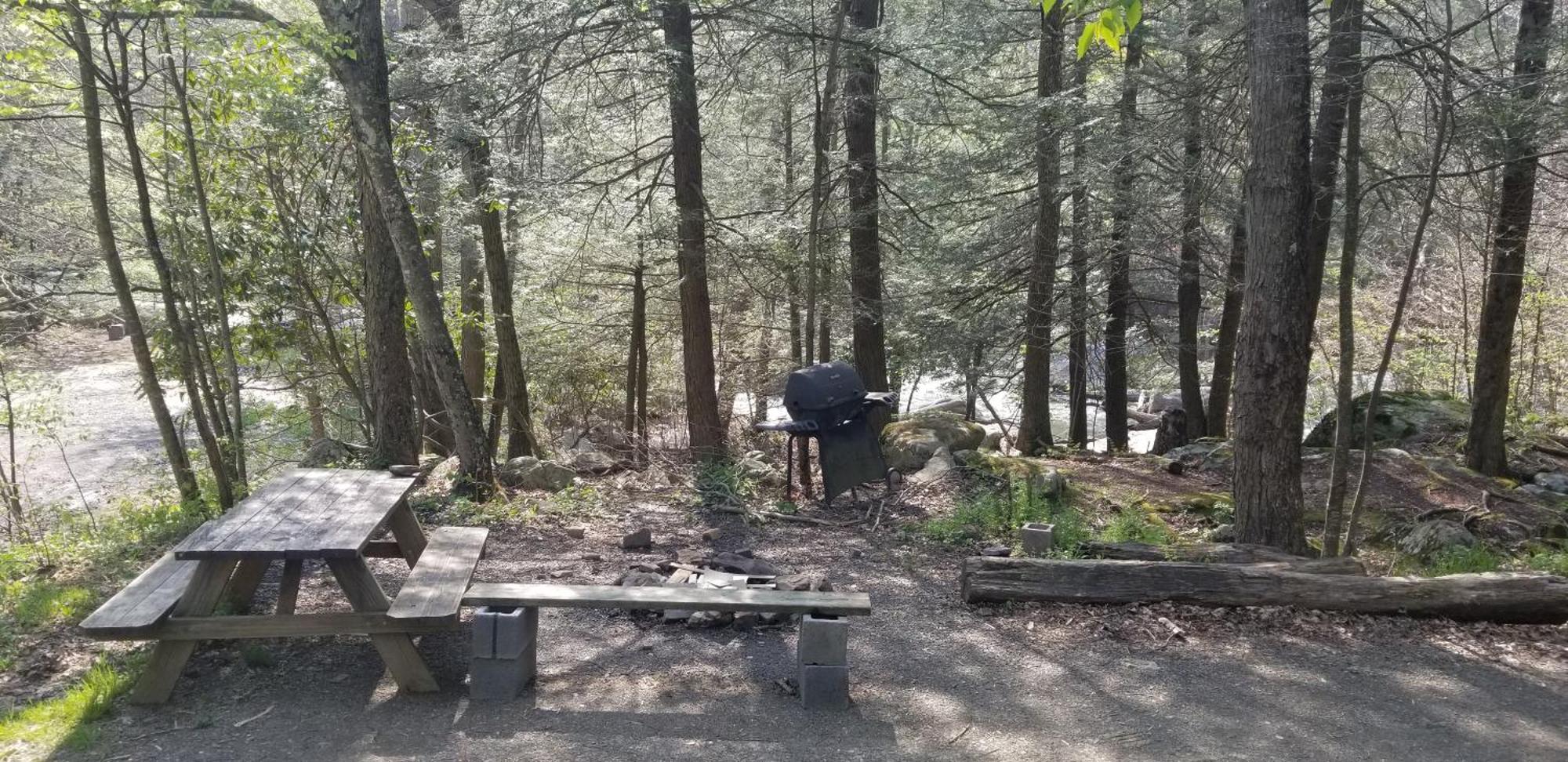 Abrams Creek Campground Mount Storm Esterno foto