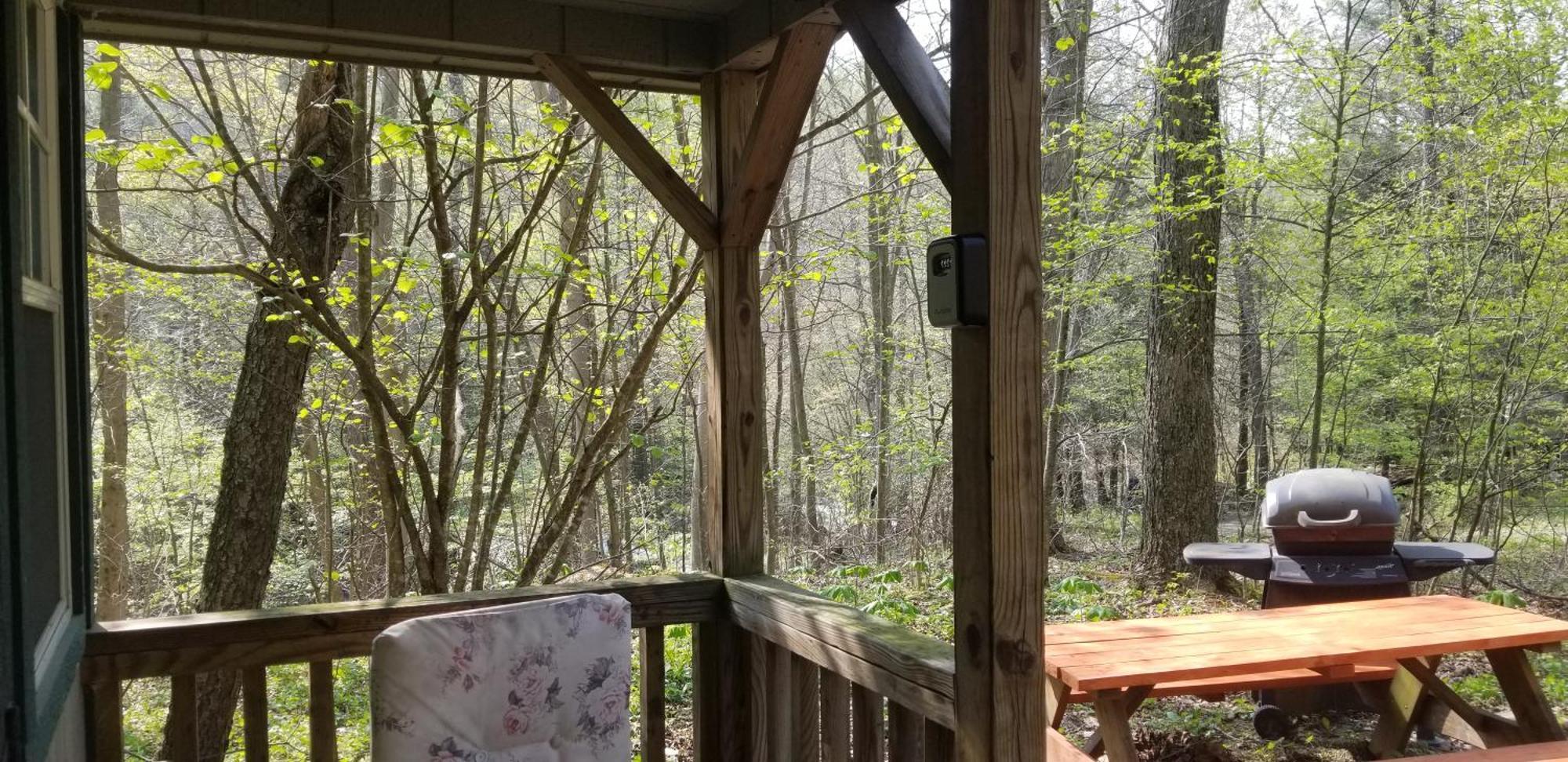 Abrams Creek Campground Mount Storm Esterno foto
