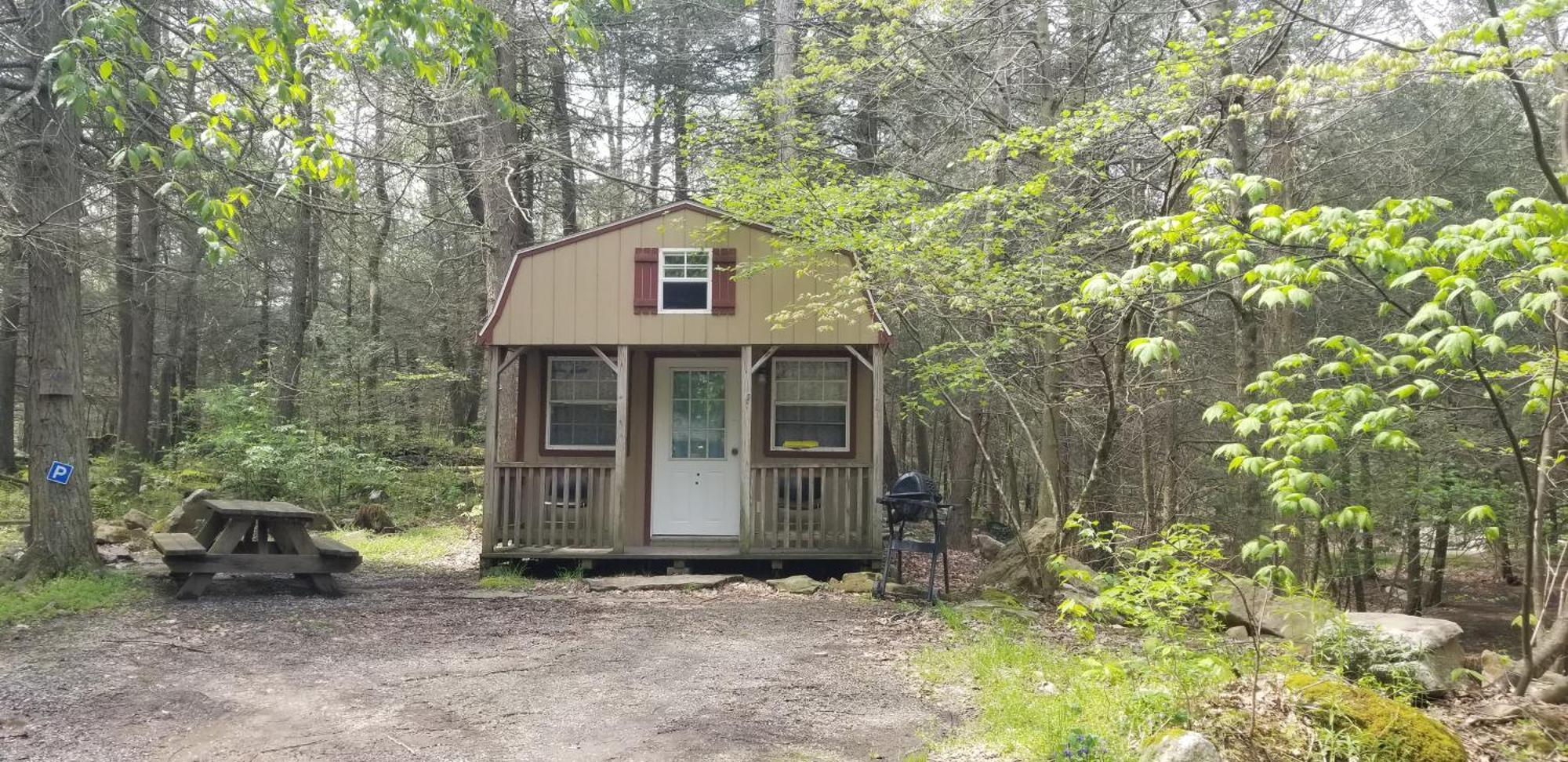 Abrams Creek Campground Mount Storm Esterno foto