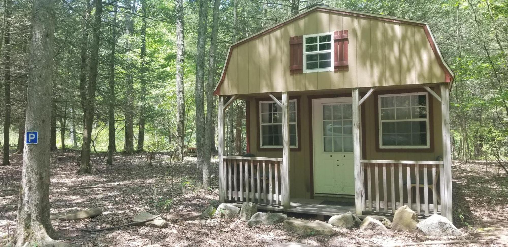 Abrams Creek Campground Mount Storm Esterno foto