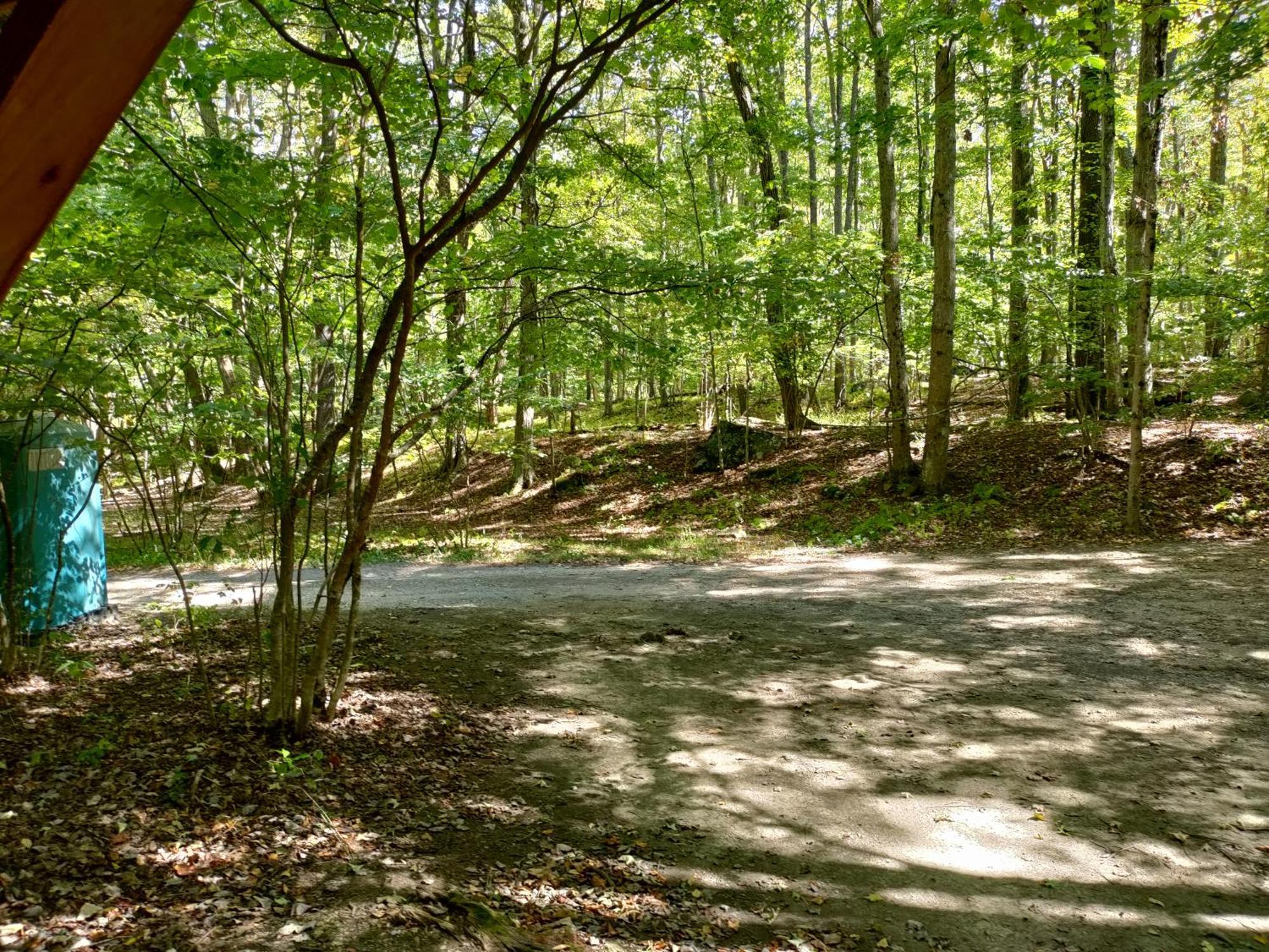 Abrams Creek Campground Mount Storm Esterno foto