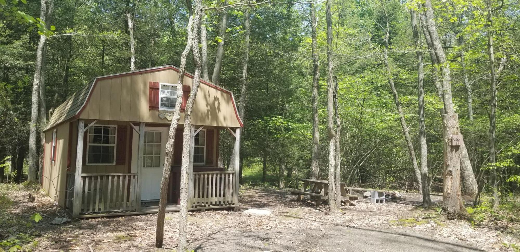 Abrams Creek Campground Mount Storm Esterno foto