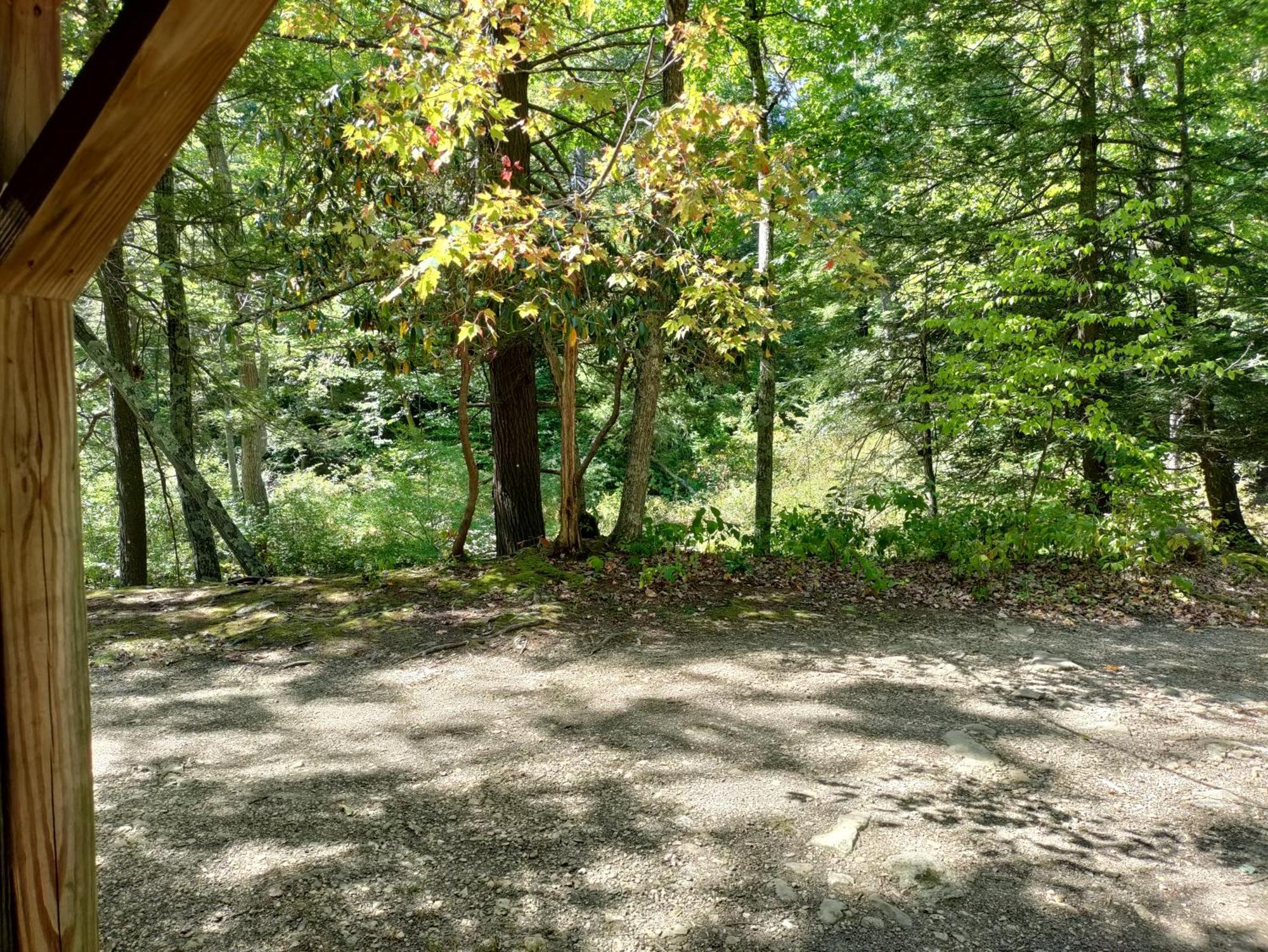 Abrams Creek Campground Mount Storm Esterno foto