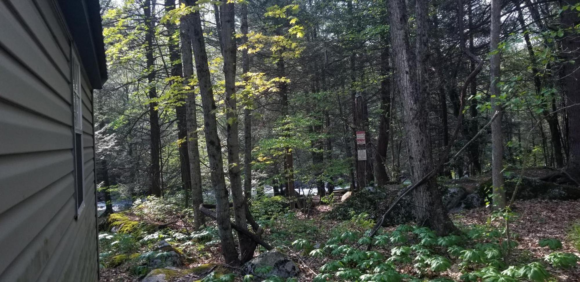 Abrams Creek Campground Mount Storm Esterno foto