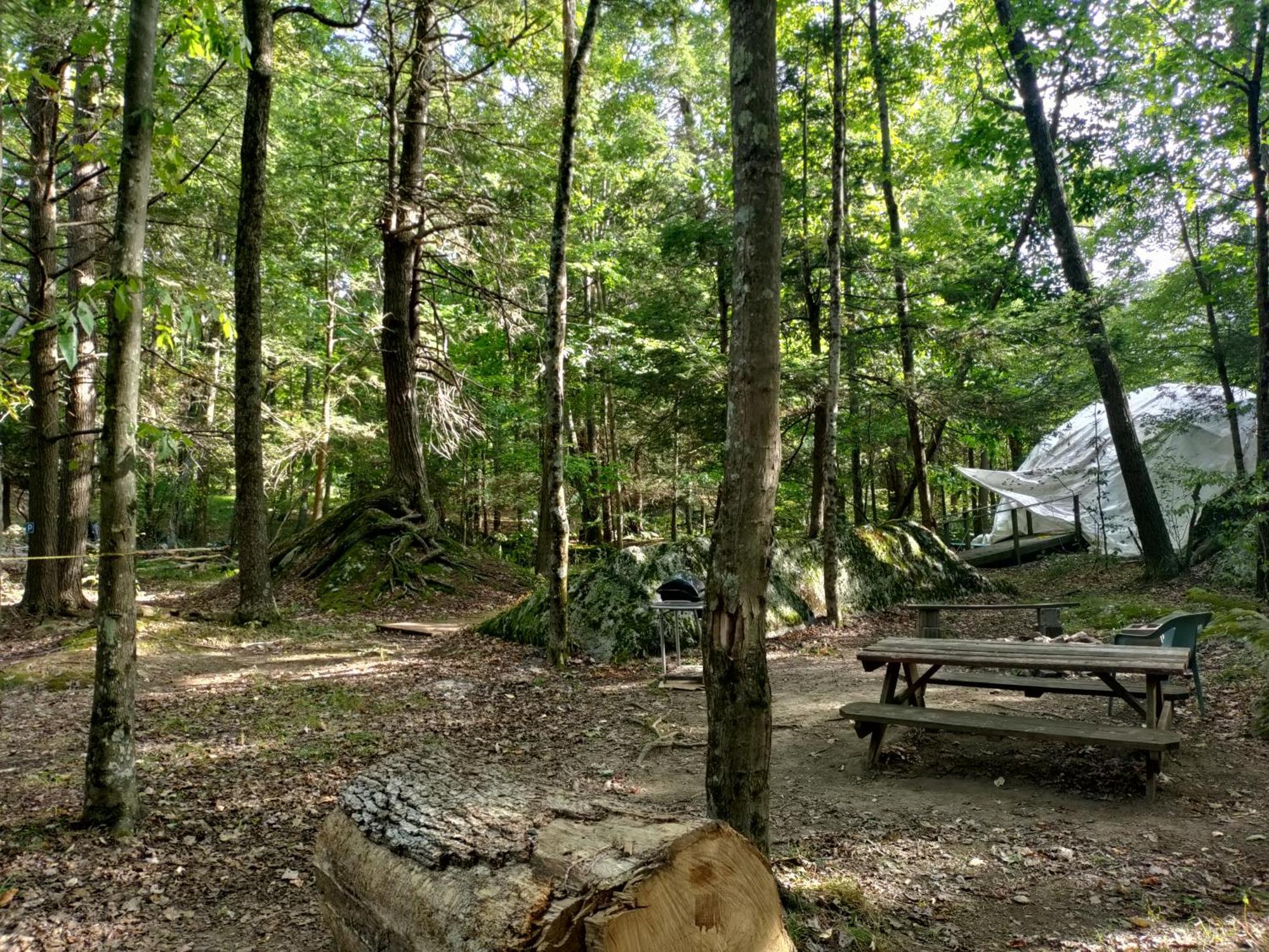 Abrams Creek Campground Mount Storm Esterno foto