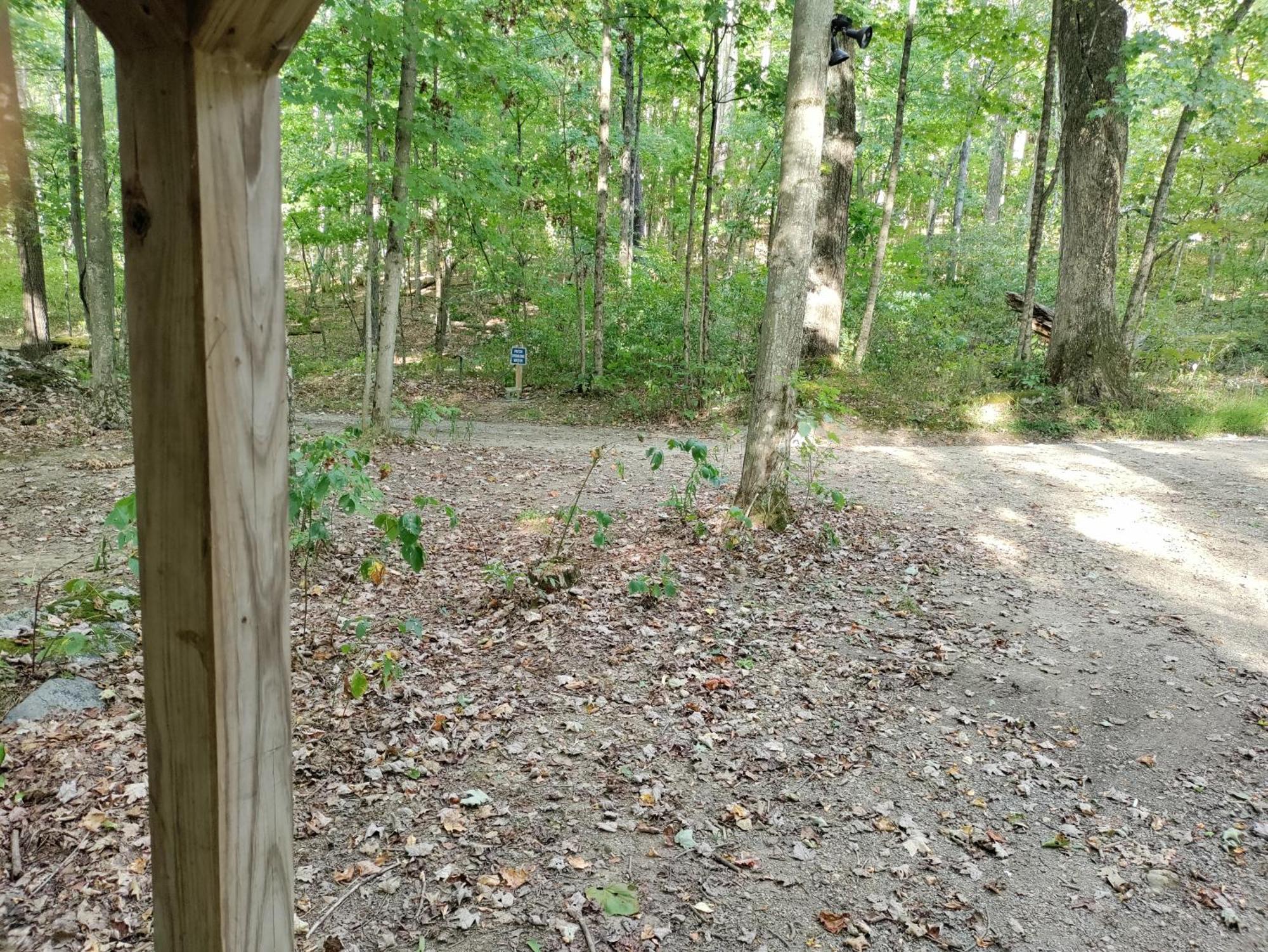 Abrams Creek Campground Mount Storm Esterno foto